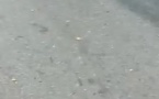 Tafiré/Terrible collision entre un minicar et une remorque/ Plusieurs morts
