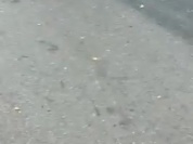 VID-20230611-WA0065.mp4