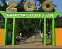 Zoo d'Abidjan entièrement rénové Zoo d'Abidjan entièrement rénové
