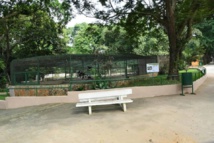 Le nouveau visage du zoo d’Abidjan Le nouveau visage du zoo d’Abidjan