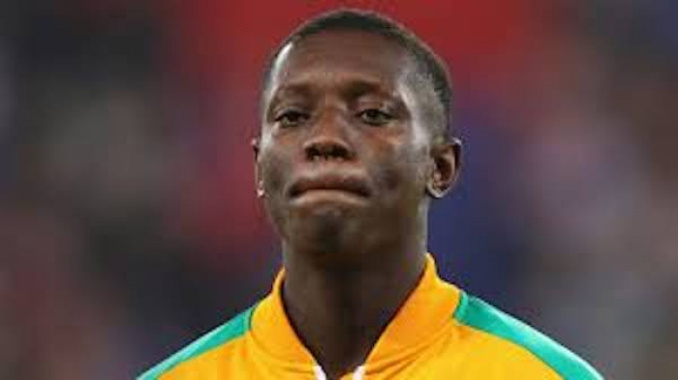 Gradel avec les éléphants Gradel avec les éléphants