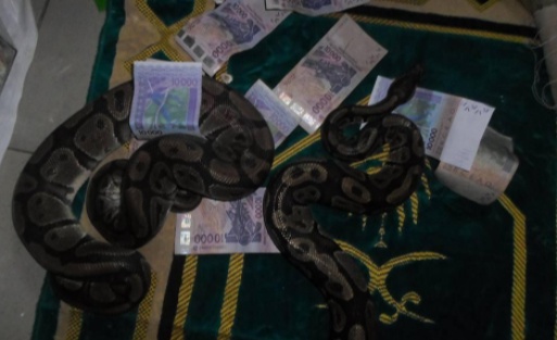 Ph:DR   Multiplication de billets de banque avec un , un serpent mystérieux