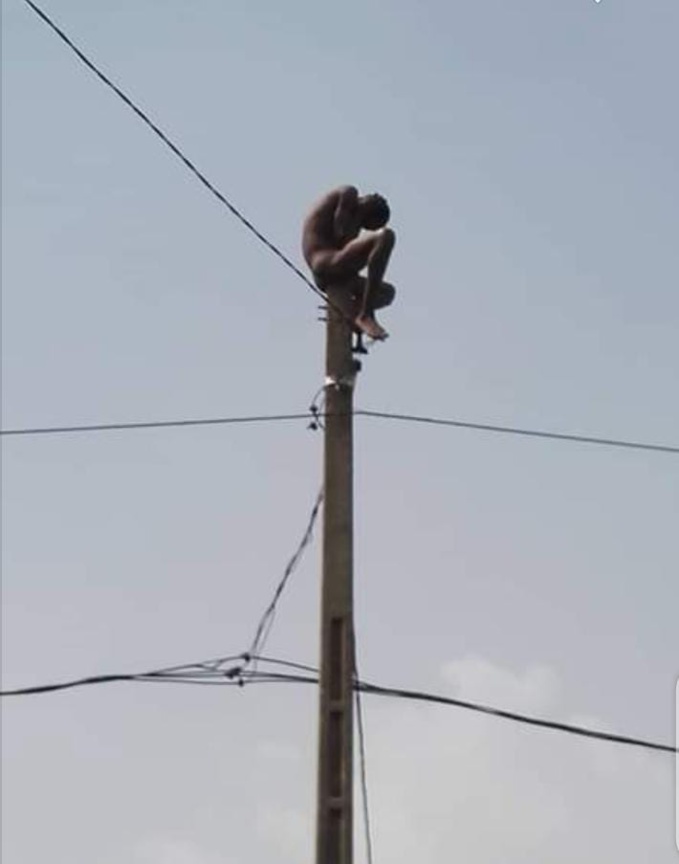 Bouaké/Insolite/ Un fou retrouvé au sommet d'un poteau électrique Bouaké/Insolite/ Un fou retrouvé au sommet d'un poteau électrique