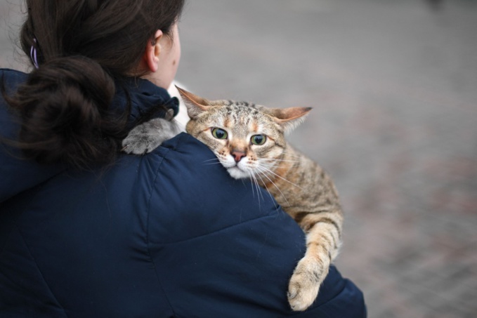 Guerre en Ukraine : la France met un dispositif en place pour les animaux réfugiés Guerre en Ukraine : la France met un dispositif en place pour les animaux réfugiés
