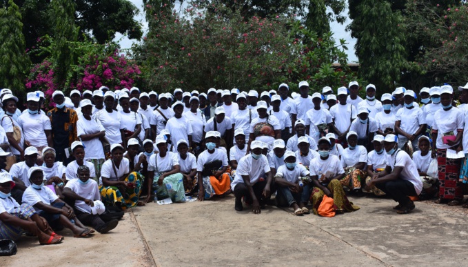 Sécurité alimentaire :La  campagne pour "sauver le manioc" en Côte d'ivoire lancée  à Dimbokro