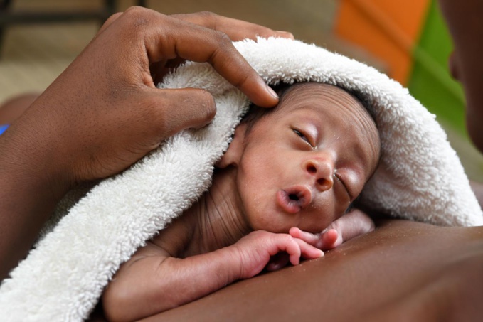 Couveuse maternelle. Couveuse maternelle.