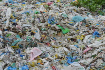 journée mondiale sans sachets plastiques : un changement d’habitude s’impose. journée mondiale sans sachets plastiques : un changement d’habitude s’impose.
