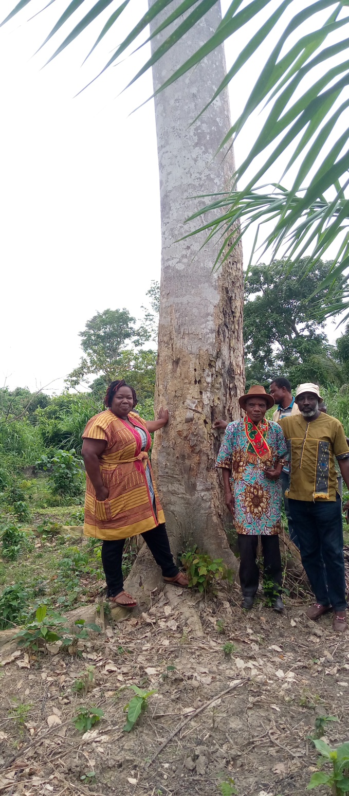 Chantal Guiraud s'est rendue au pied de l'arbre Gorè à Podjo