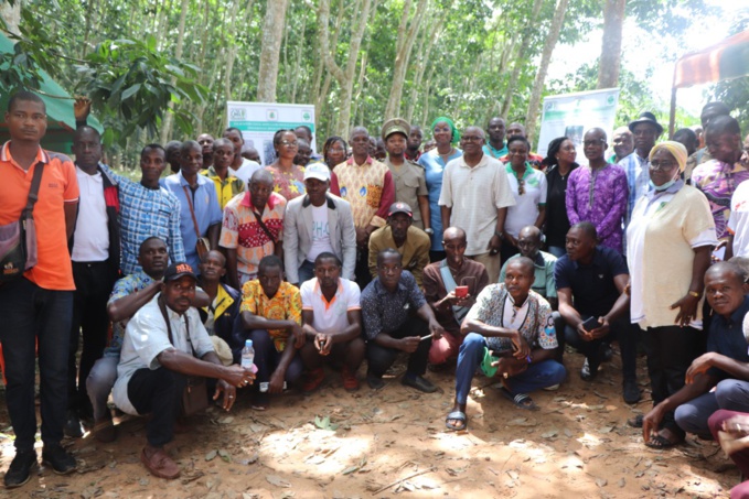 Les chercheurs ont édifié les populations sur les réels atouts de l'hévéa culture Les chercheurs ont édifié les populations sur les réels atouts de l'hévéa culture