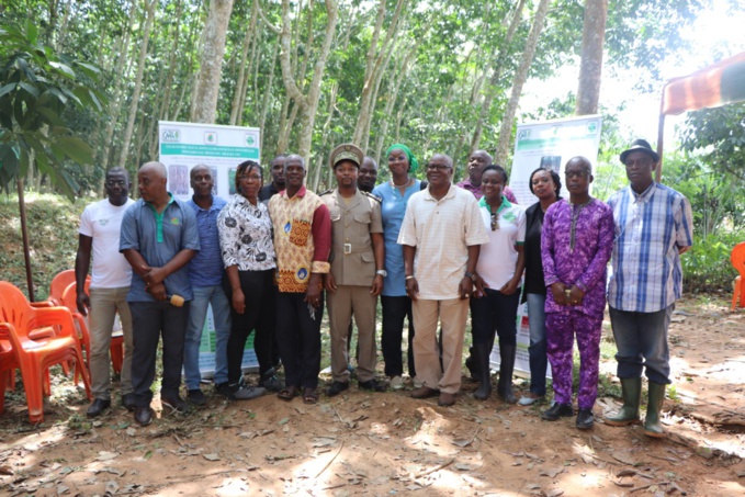 Les organisateurs autour de l'autorité administrative Les organisateurs autour de l'autorité administrative