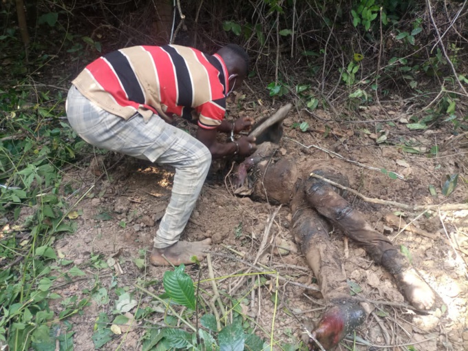 Odieux/ Il égorge son meilleur ami pour 500 mille F Odieux/ Il égorge son meilleur ami pour 500 mille F