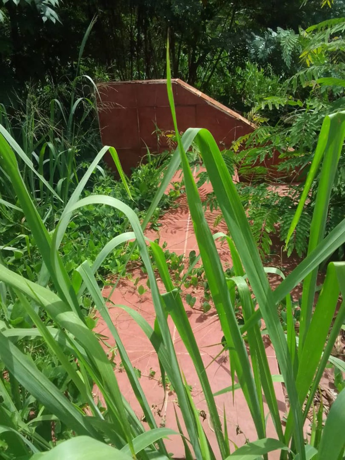 L'artiste Akézo mort en 2003/  Sa tombe envahie par les hautes herbes L'artiste Akézo mort en 2003/  Sa tombe envahie par les hautes herbes