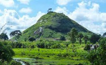 8 ans déjà pour le festival des cultures et des arts Dan 8 ans déjà pour le festival des cultures et des arts Dan