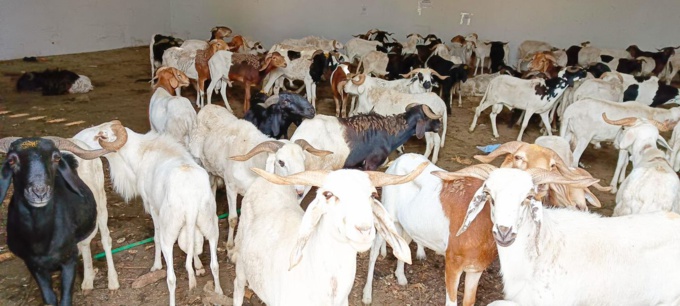 Le ministre Amadou Koné a soulagé les imams et les familles démunies à Bouaké Le ministre Amadou Koné a soulagé les imams et les familles démunies à Bouaké