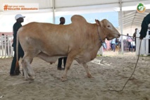 Journée du MIRAH au Sara 2023 : le Ministère des Ressources Animales et Halieutiques ouvre ses portes au public. Journée du MIRAH au Sara 2023 : le Ministère des Ressources Animales et Halieutiques ouvre ses portes au public.