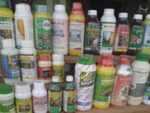 Afrique de l’Ouest : La santé humaine menacée par l’utilisation des pesticides dans l’agriculture. Afrique de l’Ouest : La santé humaine menacée par l’utilisation des pesticides dans l’agriculture.