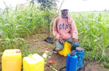 Afrique de l’Ouest :  La santé humaine menacée par l’utilisation des pesticides dans l’agriculture.