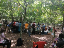 Diner Champêtre Diner Champêtre