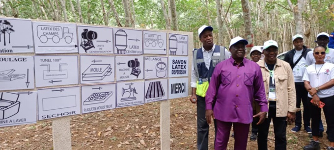 Journée du caoutchouc naturel/Le ministre d'Etat Kobenan Adjoumani en visite à la compagnie agro- industrielle de Pakidié( Dabou) : " Je suis émerveillé " Journée du caoutchouc naturel/Le ministre d'Etat Kobenan Adjoumani en visite à la compagnie agro- industrielle de Pakidié( Dabou) : " Je suis émerveillé "