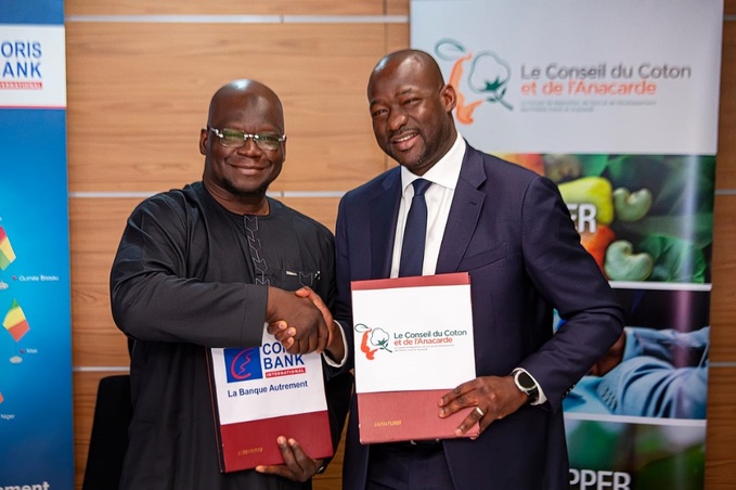 Filière anacarde en CI/Une banque injecte 15 milliards CFA pour la campagne de 2025 Filière anacarde en CI/Une banque injecte 15 milliards CFA pour la campagne de 2025