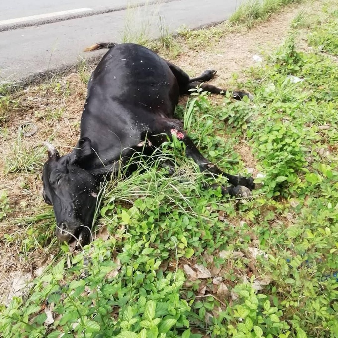 Drame/ 24 heures après l'enterrement des 12 enfants noyés, le village de Tiaha frappé par un autre malheur. Un mort et plusieurs blessés dans un accident Drame/ 24 heures après l'enterrement des 12 enfants noyés, le village de Tiaha frappé par un autre malheur. Un mort et plusieurs blessés dans un accident
