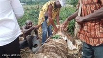 Djaka Festival 2025 : Excursion mémorable à Gbagroubé, entre traditions et hospitalité