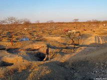 Sites d'orpaillage illégal