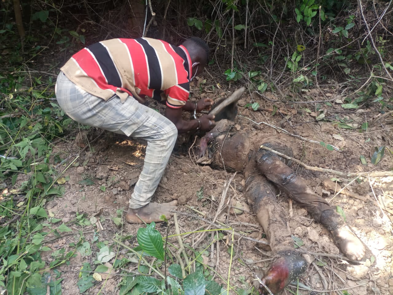 Odieux/ Il égorge son meilleur ami pour 500 mille F Odieux/ Il égorge son meilleur ami pour 500 mille F