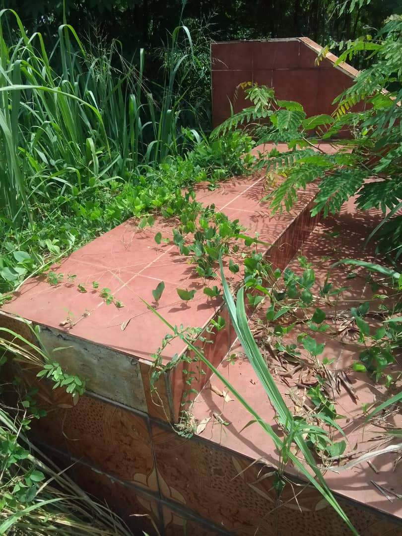 L'artiste Akézo mort en 2003/  Sa tombe envahie par les hautes herbes