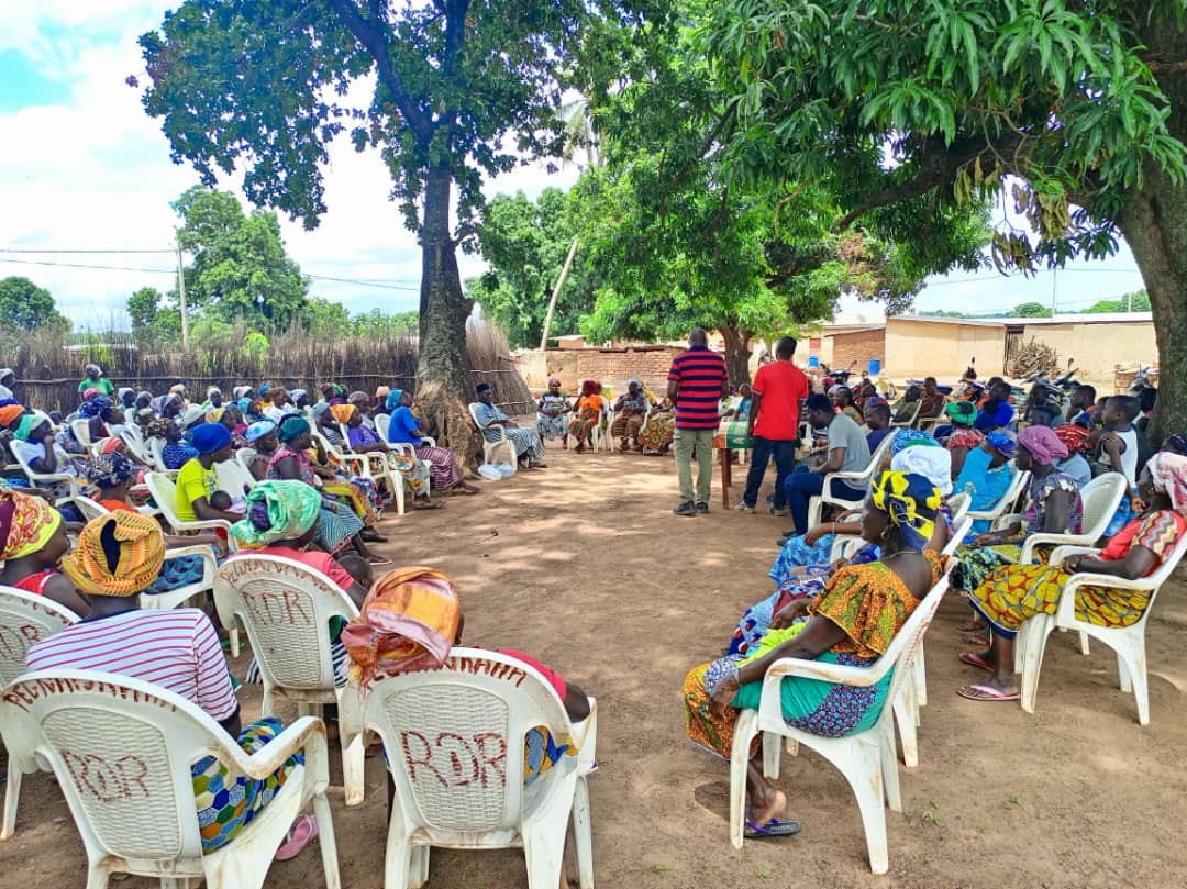 Sinématiali/ Agence emploi jeunes/ Les jeunes et les femmes  édifiés sur les mécanismes de financement des projets dans plusieurs villages
