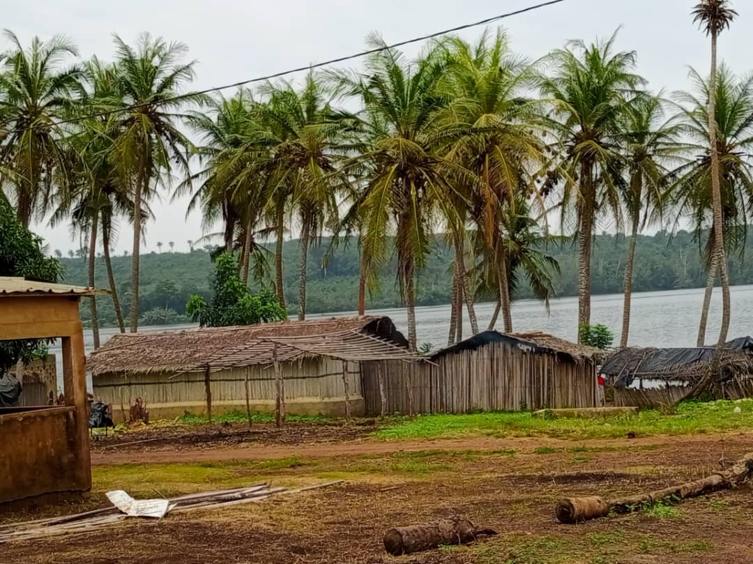 une vue du village Liboli