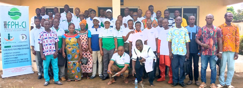 Daoukro/ Des planteurs d'hévéa installent le bureau local de l'Unapheci Daoukro/ Des planteurs d'hévéa installent le bureau local de l'Unapheci