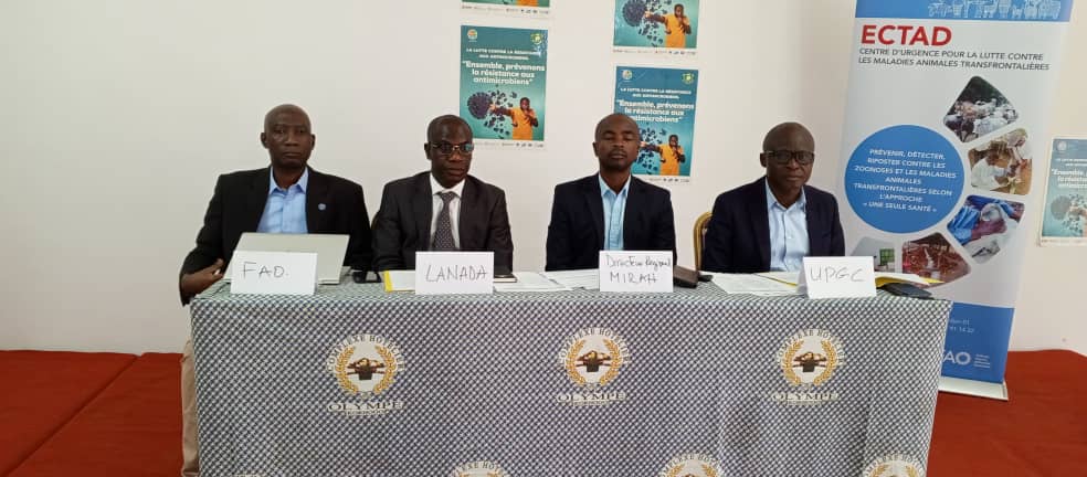 Semaine mondiale de la RAM:  Les éleveurs de Korhogo dans le nord de la Côte d’Ivoire  sensibilisés sur les bonnes pratiques de l'utilisation des antimicrobiens Semaine mondiale de la RAM:  Les éleveurs de Korhogo dans le nord de la Côte d’Ivoire  sensibilisés sur les bonnes pratiques de l'utilisation des antimicrobiens