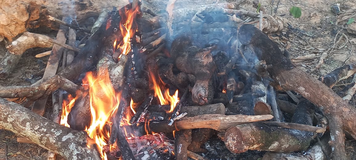 Daoukro/ 400 kg de viande incinérés Daoukro/ 400 kg de viande incinérés