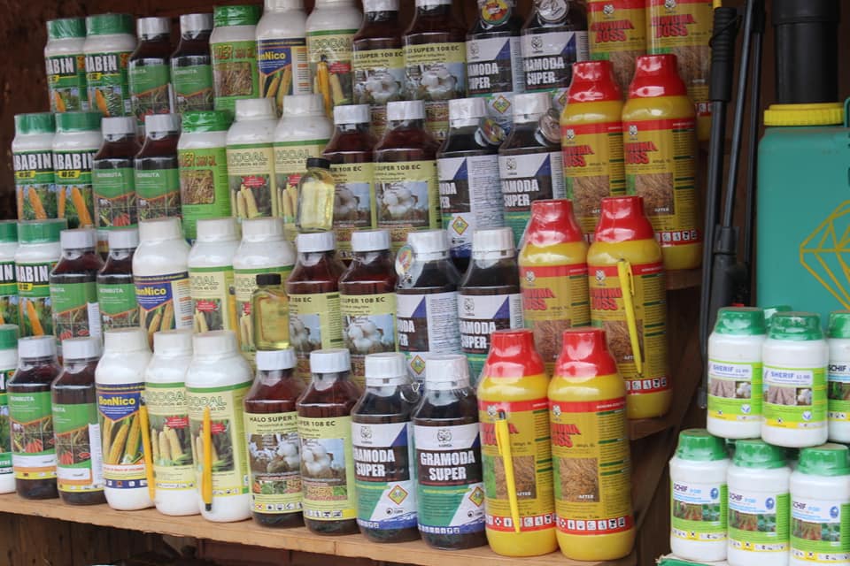 Afrique de l’Ouest :  La santé humaine menacée par l’utilisation des pesticides dans l’agriculture.