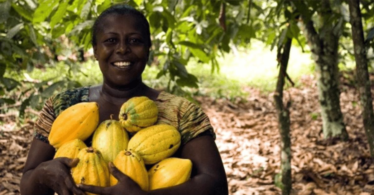 Changement climatique/ Quel danger pour l'agriculture en Côte d'Ivoire ? 