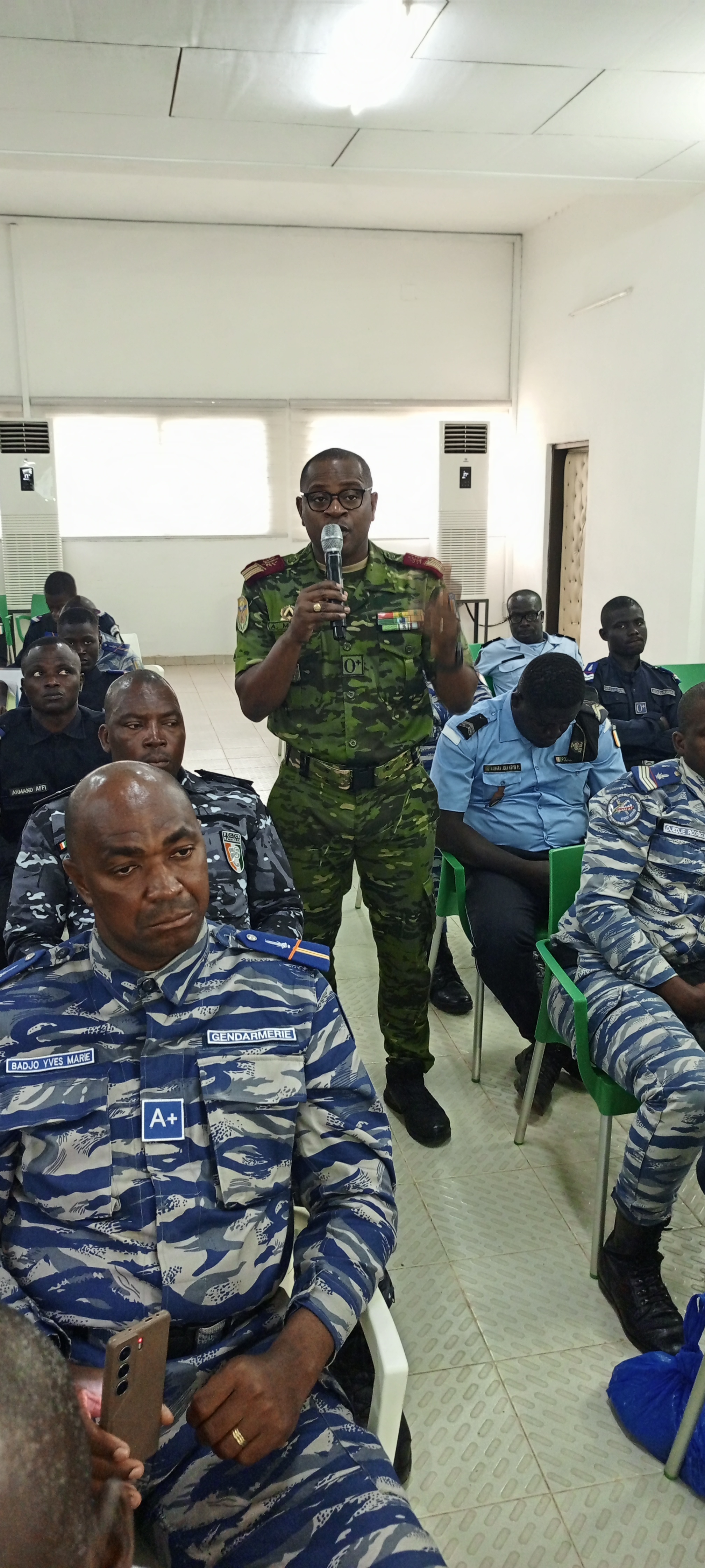 Lutte contre la peste porcine africaine/Le Mirah appelle les FDS en renfort