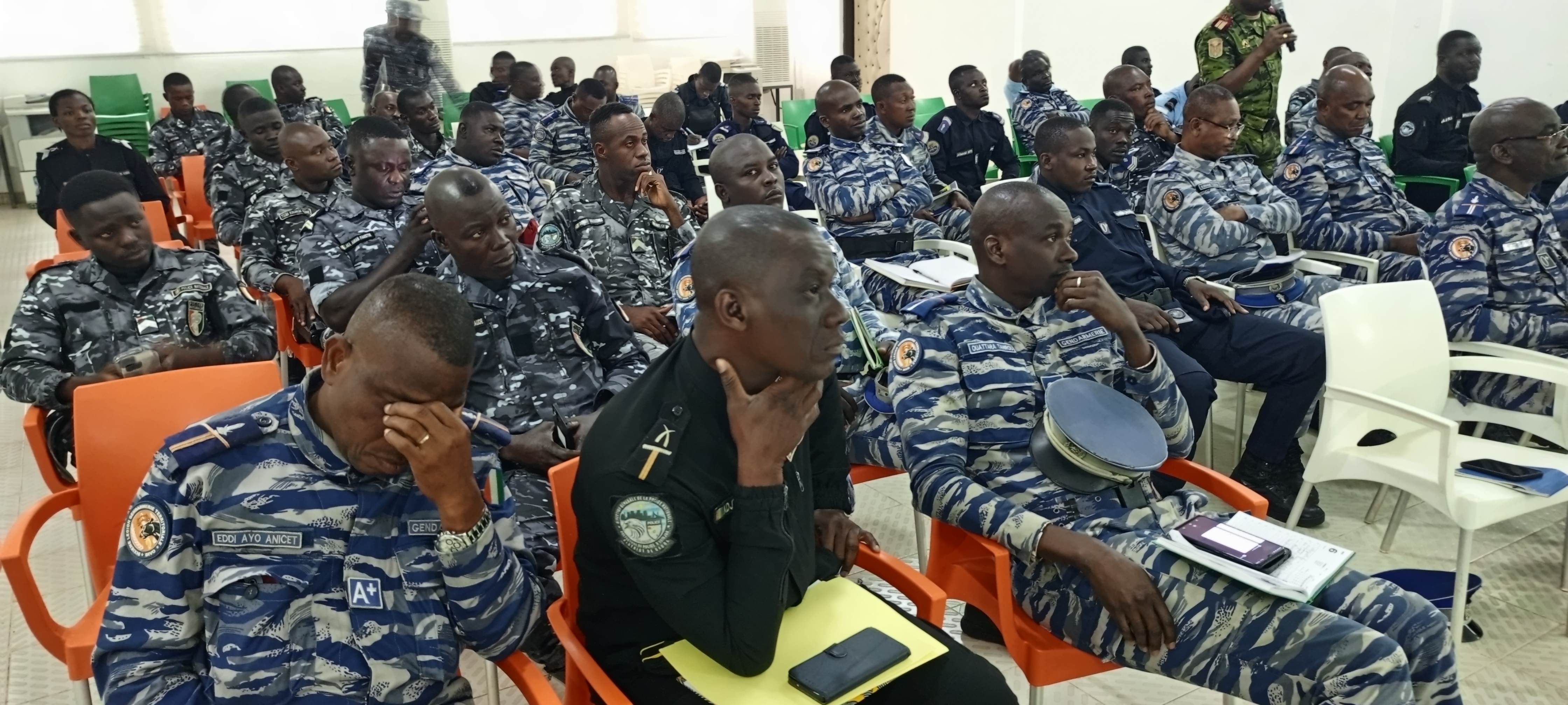 Lutte contre la peste porcine africaine/Le Mirah appelle les FDS en renfort