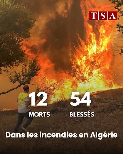 Algérie : au moins 12 morts et 54 blessés dans de violents incendies de forêt dans le nord-est du pays