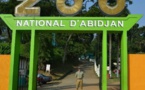 Le nouveau visage du zoo d’Abidjan