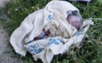 Société/Aéroport de Maurice: Un nouveau-né retrouvé dans la poubelle des toilettes d’un avion