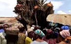Faits Divers-Cameroun: Trois enfants écrasés mystérieusement par un arbre dans une maison, une sorcière interpellée !