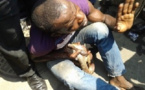 Insolite : Un homme arrêté par un serpent après avoir volé un matelas