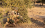 ​Mali : L’armée Française élimine un dangereux chef djihadiste près de Tombouctou