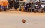 Faits Divers à Korhogo : Un mystérieux canari déposé en plein milieu de la route sème la panique