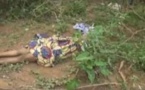 Odieux/ Une femme de 60 ans décapitée, sa tête emportée
