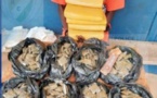 Société-Boundiali : La drogue découvert dans un sac de riz