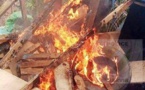Société : Trois fumoirs détruits à Abobo