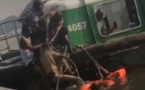 Drame/ Un élève se jette dans la lagune en sautant d'un bateau-bus