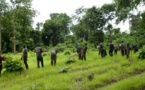 Affrontements sanglants entre agents des eaux et forêts et planteurs dans une forêt classée/ 20 blessés dont 7 agents, 5 véhicules endommagés et des armes confisquées